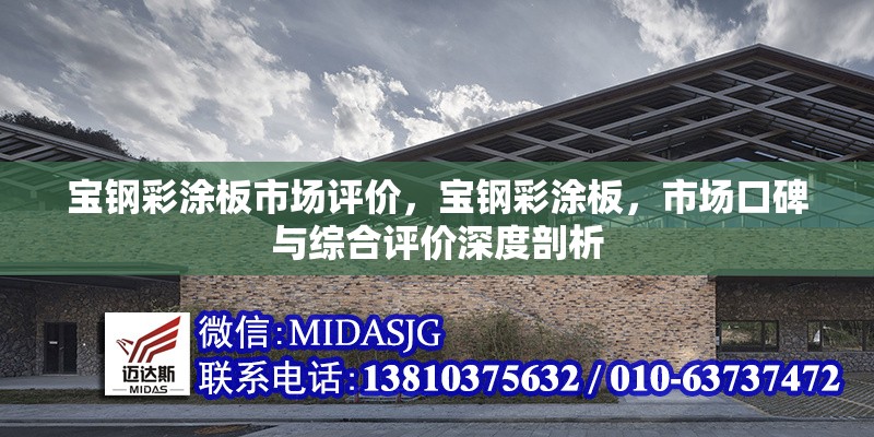 寶鋼彩涂板市場評價(jià)，寶鋼彩涂板，市場口碑與綜合評價(jià)深度剖析 行業(yè)新聞 第2張