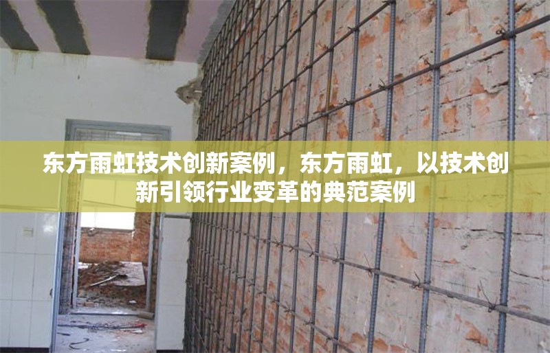 東方雨虹技術創(chuàng)新案例，東方雨虹，以技術創(chuàng)新引領行業(yè)變革的典范案例