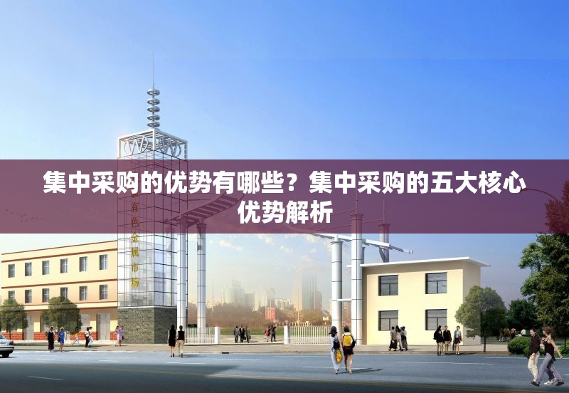 集中采購的優(yōu)勢有哪些？集中采購的五大核心優(yōu)勢解析 行業(yè)新聞 第1張