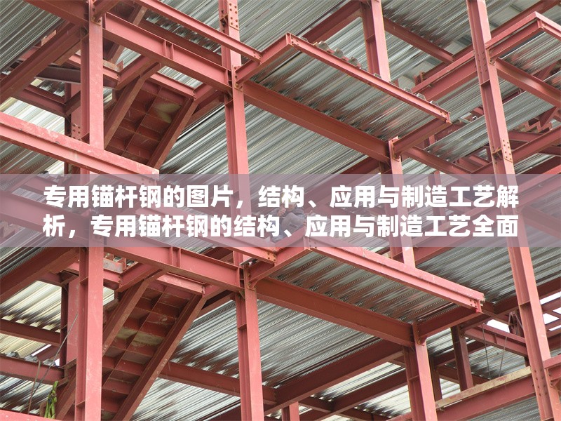 專用錨桿鋼的圖片，結(jié)構(gòu)、應用與制造工藝解析，專用錨桿鋼的結(jié)構(gòu)、應用與制造工藝全面解析
