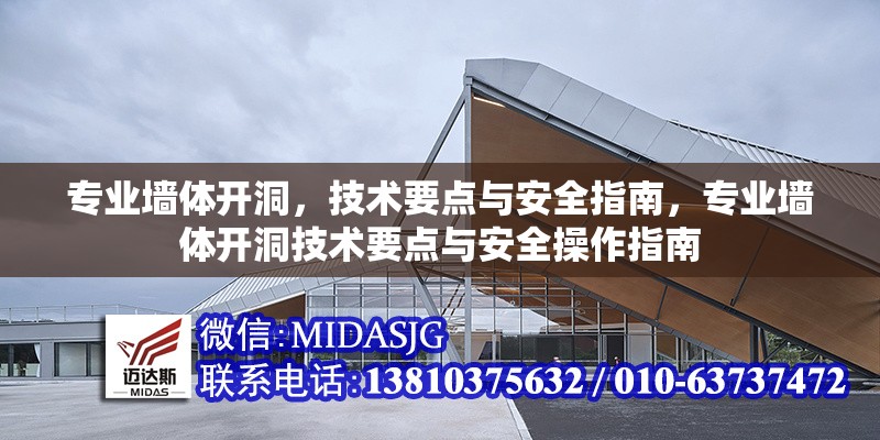 專業(yè)墻體開(kāi)洞，技術(shù)要點(diǎn)與安全指南，專業(yè)墻體開(kāi)洞技術(shù)要點(diǎn)與安全操作指南