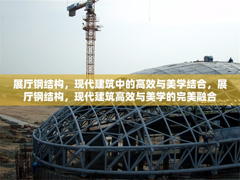 展廳鋼結(jié)構(gòu)，現(xiàn)代建筑中的高效與美學(xué)結(jié)合，展廳鋼結(jié)構(gòu)，現(xiàn)代建筑高效與美學(xué)的完美融合 行業(yè)新聞