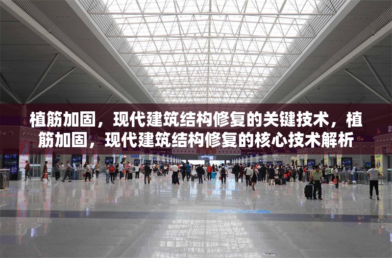 植筋加固，現代建筑結構修復的關鍵技術，植筋加固，現代建筑結構修復的核心技術解析