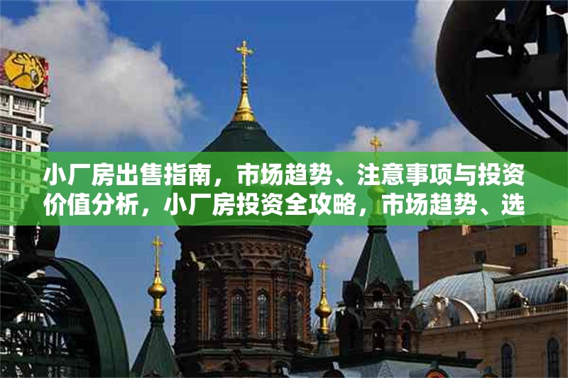 小廠房出售指南，市場趨勢、注意事項與投資價值分析，小廠房投資全攻略，市場趨勢、選購要點與價值評估