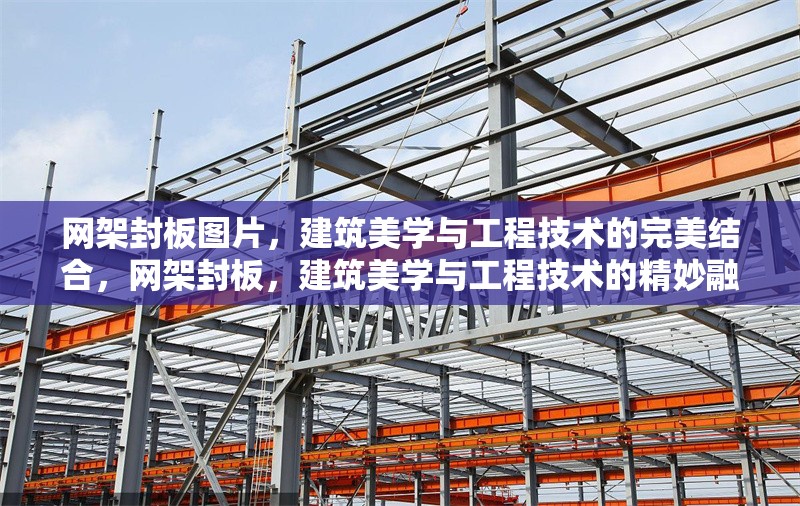 網(wǎng)架封板圖片，建筑美學(xué)與工程技術(shù)的完美結(jié)合，網(wǎng)架封板，建筑美學(xué)與工程技術(shù)的精妙融合，網(wǎng)架封板，建筑美學(xué)與工程技術(shù)的精妙融合