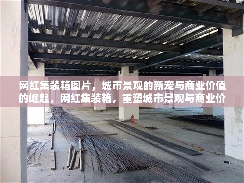 網紅集裝箱圖片，城市景觀的新寵與商業(yè)價值的崛起，網紅集裝箱，重塑城市景觀與商業(yè)價值的新潮流