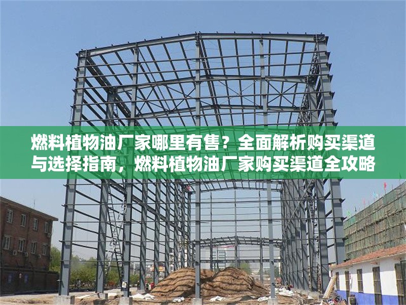 燃料植物油廠家哪里有售？全面解析購買渠道與選擇指南，燃料植物油廠家購買渠道全攻略，哪里買？怎么選？ 行業(yè)新聞