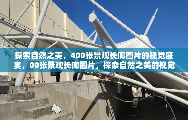 探索自然之美，400張景觀長廊圖片的視覺盛宴，00張景觀長廊圖片，探索自然之美的視覺盛宴 行業(yè)新聞