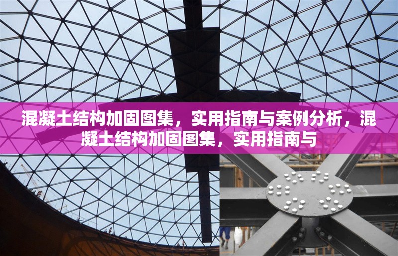 混凝土結(jié)構(gòu)加固圖集，實(shí)用指南與案例分析，混凝土結(jié)構(gòu)加固圖集，實(shí)用指南與 行業(yè)新聞