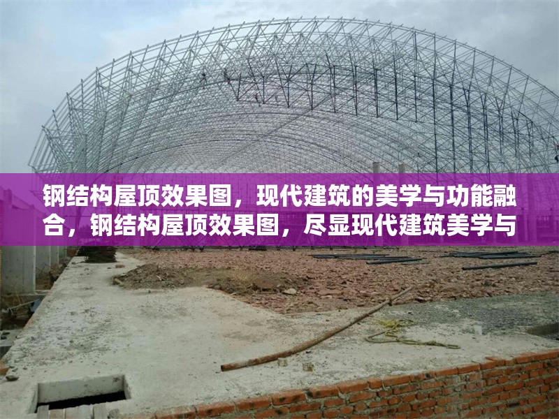 鋼結(jié)構(gòu)屋頂效果圖，現(xiàn)代建筑的美學(xué)與功能融合，鋼結(jié)構(gòu)屋頂效果圖，盡顯現(xiàn)代建筑美學(xué)與