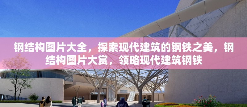 鋼結(jié)構(gòu)圖片大全，探索現(xiàn)代建筑的鋼鐵之美，鋼結(jié)構(gòu)圖片大賞，領(lǐng)略現(xiàn)代建筑鋼鐵 行業(yè)新聞