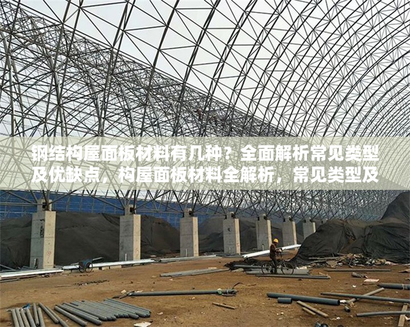 鋼結(jié)構(gòu)屋面板材料有幾種？全面解析常見類型及優(yōu)缺點(diǎn)，構(gòu)屋面板材料全解析，常見類型及 行業(yè)新聞