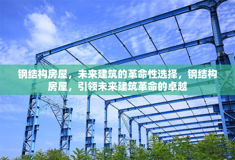 鋼結(jié)構(gòu)房屋，未來建筑的革命性選擇，鋼結(jié)構(gòu)房屋，引領(lǐng)未來建筑革命的卓越 行業(yè)新聞