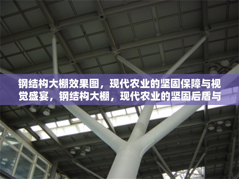 鋼結(jié)構(gòu)大棚效果圖，現(xiàn)代農(nóng)業(yè)的堅(jiān)固保障與視覺盛宴，鋼結(jié)構(gòu)大棚，現(xiàn)代農(nóng)業(yè)的堅(jiān)固后盾與