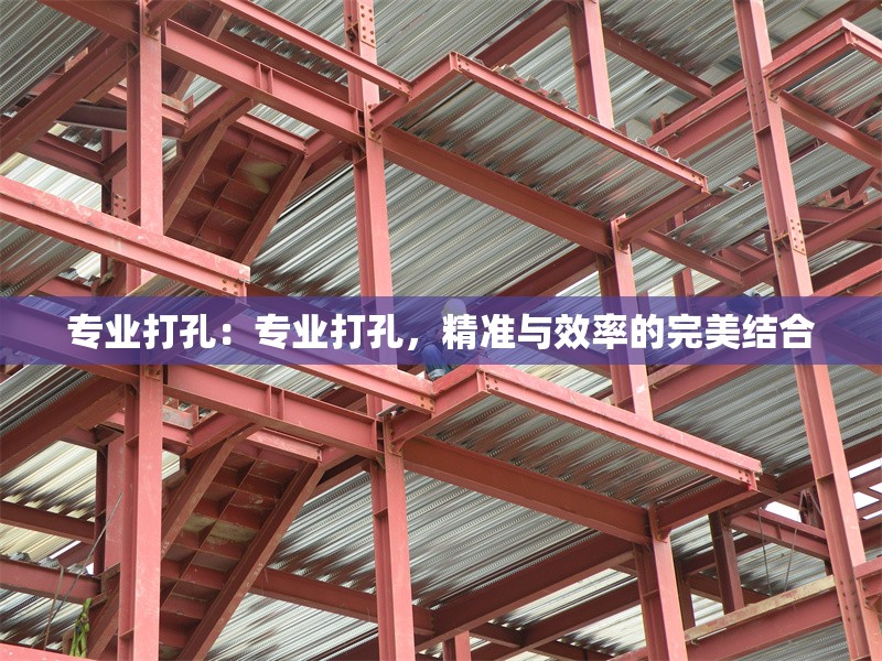 專業(yè)打孔：專業(yè)打孔，精準(zhǔn)與效率的完美結(jié)合 行業(yè)新聞