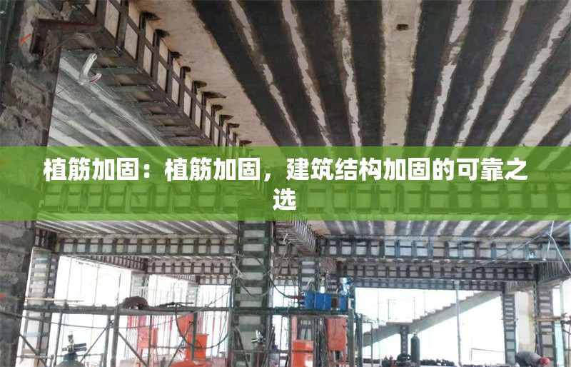 植筋加固：植筋加固，建筑結(jié)構(gòu)加固的可靠之選