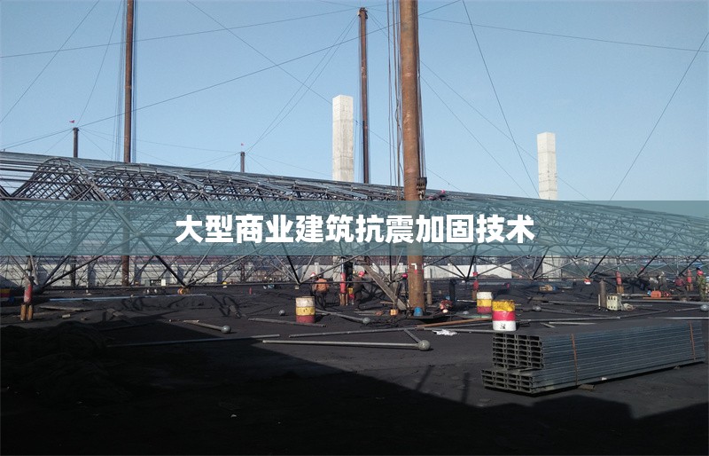 大型商業(yè)建筑抗震加固技術(shù) 行業(yè)新聞 第1張 大型商業(yè)建筑抗震加固技術(shù) 行業(yè)新聞 第1張