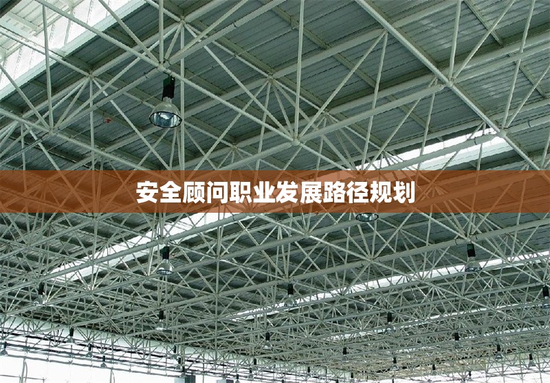 安全顧問(wèn)職業(yè)發(fā)展路徑規(guī)劃 行業(yè)新聞 第1張