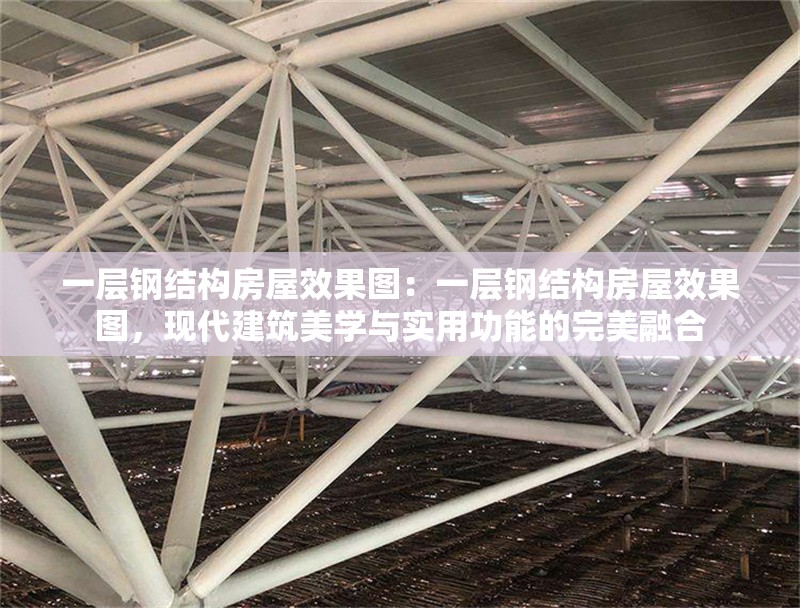 一層鋼結(jié)構(gòu)房屋效果圖：一層鋼結(jié)構(gòu)房屋效果圖，現(xiàn)代建筑美學(xué)與實(shí)用功能的完美融合 行業(yè)新聞