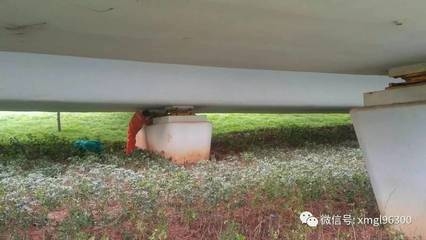 加固后結構耐久性影響因素分析，加固后結構耐久性影響因素的多 行業(yè)新聞 第2張