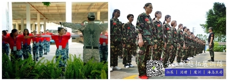 加固項目團隊建設技巧，加固項目團隊建設，實用技巧與策略 行業(yè)新聞 第1張