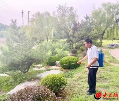 建筑加固后的病蟲(chóng)害防治，建筑加固后如何有效 行業(yè)新聞 第1張