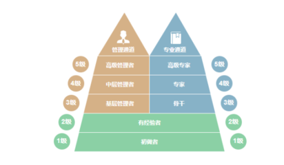 加固公司職業(yè)發(fā)展路徑，加固公司職業(yè)發(fā)展路徑 行業(yè)新聞 第2張