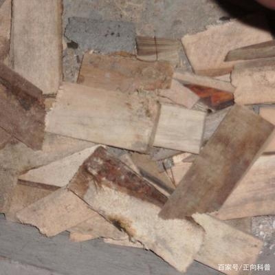 建筑加固材料成本控制策略，建筑加固材料成本控制策略，優(yōu)化投入 行業(yè)新聞 第3張