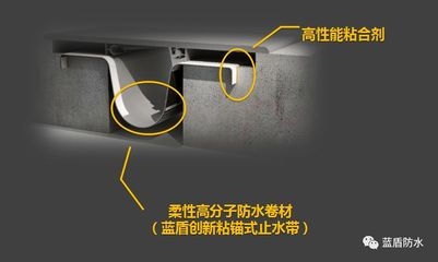 墻體加固技術(shù)創(chuàng)新案例，墻體加固，創(chuàng)新技術(shù)下的變革案例 行業(yè)新聞 第4張