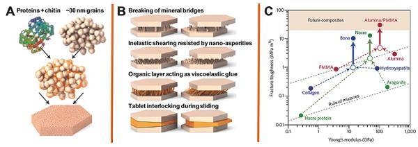 納米材料加固技術原理，納米材料加固技術原理，微觀機制與宏觀應用的深度解析 行業(yè)新聞 第4張