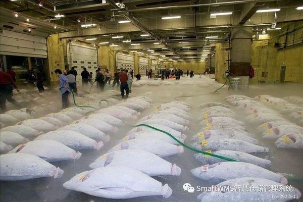 廠房選址的關鍵考量因素，廠房選址，關鍵考量因素全解析，廠房選址的五大關鍵考量因素全解析 行業(yè)新聞 第5張