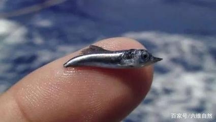 鋼板體積計(jì)算的實(shí)際應(yīng)用案例，鋼板體積計(jì)算，從理論到實(shí)際應(yīng)用案例 行業(yè)新聞 第1張