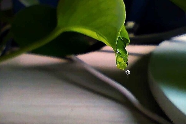 包鋼集團(tuán)智能化轉(zhuǎn)型案例，包鋼集團(tuán)，智能化轉(zhuǎn)型的卓越典范 行業(yè)新聞 第2張