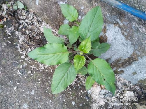 厚鋼板焊接預(yù)熱溫度控制，厚鋼板焊接預(yù)熱溫度控制要點(diǎn)與方法