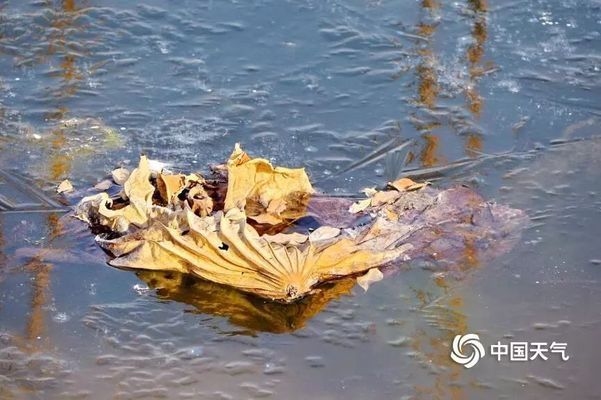 低溫環(huán)境砌體工程施工技巧，低溫環(huán)境下砌體工程施工技巧全解析 行業(yè)新聞 第1張