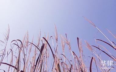 廠房資產(chǎn)減值跡象識(shí)別方法，廠房資產(chǎn)減值跡象的精準(zhǔn)識(shí)別，方法 行業(yè)新聞 第1張