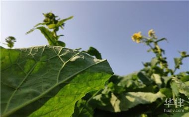 不同用途土地使用權(quán)年限對(duì)比，不同用途土地使用權(quán)年限大 行業(yè)新聞 第2張