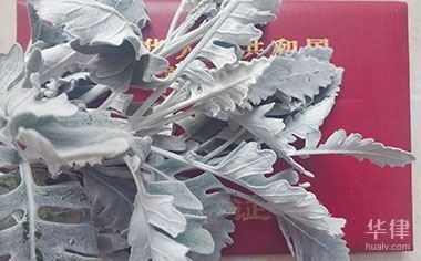 廠房產(chǎn)權(quán)變更登記指南，廠房產(chǎn)權(quán)變更登記，流程、材料與 行業(yè)新聞 第1張