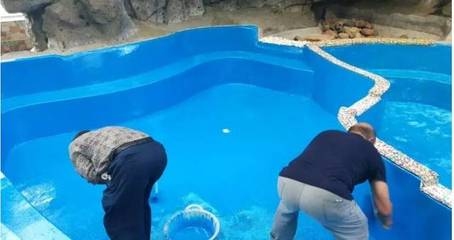 環(huán)氧樹脂膠濕度適應(yīng)性研究，環(huán)氧樹脂膠在不同濕度環(huán)境下的適應(yīng)性研究 行業(yè)新聞 第5張