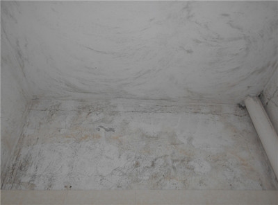 加固后建筑性能檢測方法，加固后建筑性能檢測方法與評估技術(shù)研究 行業(yè)新聞 第2張