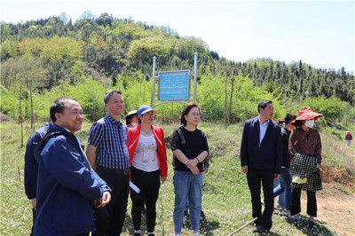 加固施工后期監(jiān)測技術(shù)應(yīng)用，加固施工后期監(jiān)測技術(shù)的應(yīng)用與實(shí)踐，加固施工后期監(jiān)測技術(shù)的應(yīng)用與實(shí)踐 行業(yè)新聞 第5張