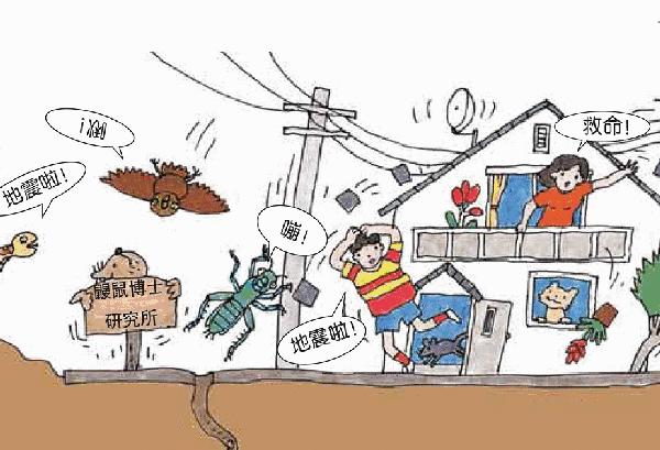 地震多發(fā)區(qū)農(nóng)居安全措施，地震多發(fā)區(qū)農(nóng)居安全措施 行業(yè)新聞 第4張