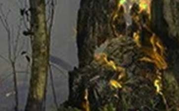 甲類廠房火災(zāi)應(yīng)急預(yù)案制定，甲類廠房火災(zāi)應(yīng)急預(yù)案制定要點(diǎn)與實(shí)施指南 行業(yè)新聞 第2張