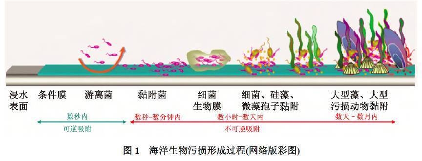 海洋環(huán)境下鋼板防腐技術(shù) 行業(yè)新聞 第4張 海洋環(huán)境下鋼板防腐技術(shù) 行業(yè)新聞 第4張