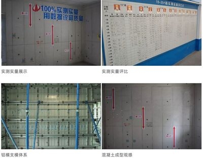 加固工程觀感質(zhì)量標(biāo)準(zhǔn) 行業(yè)新聞 第6張 加固工程觀感質(zhì)量標(biāo)準(zhǔn) 行業(yè)新聞 第6張