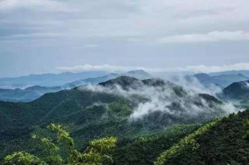 打造一間民宿多少錢 行業(yè)新聞 第2張