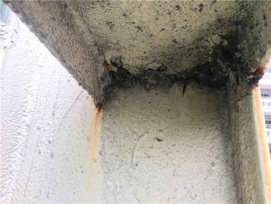 房屋安全評估流程介紹 行業(yè)新聞 第2張 房屋安全評估流程介紹 行業(yè)新聞 第2張