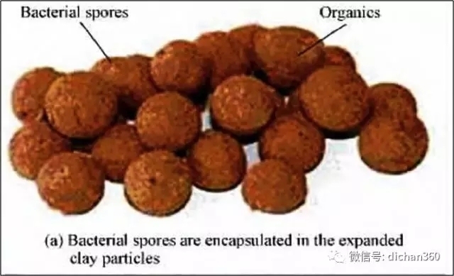 加固材料自愈合技術(shù)研究 行業(yè)新聞 第5張 加固材料自愈合技術(shù)研究 行業(yè)新聞 第5張