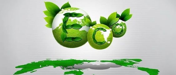 關(guān)于商場改造的通知 行業(yè)新聞 第4張