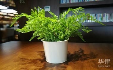 建筑設計圖紙版權查詢流程 行業(yè)新聞 第2張 建筑設計圖紙版權查詢流程 行業(yè)新聞 第2張